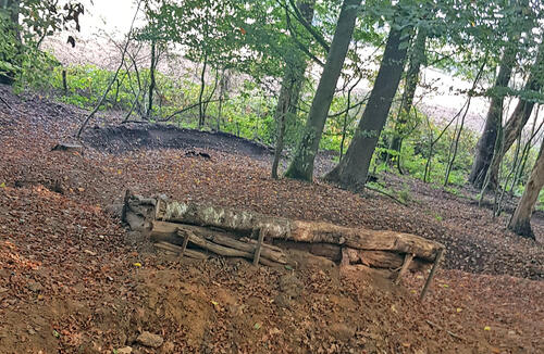 Unerlaubte Sprungschanze  - DBU-Naturerbefläche Borken © Michael Diekamp/DBU Naturerbe