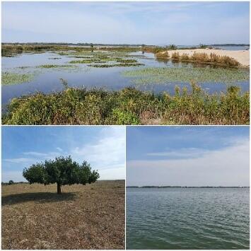 Alumni Jahrestreffen Tschechien und Slowakei 2022  © DBU, Dr. Nicole Freyer-Wille