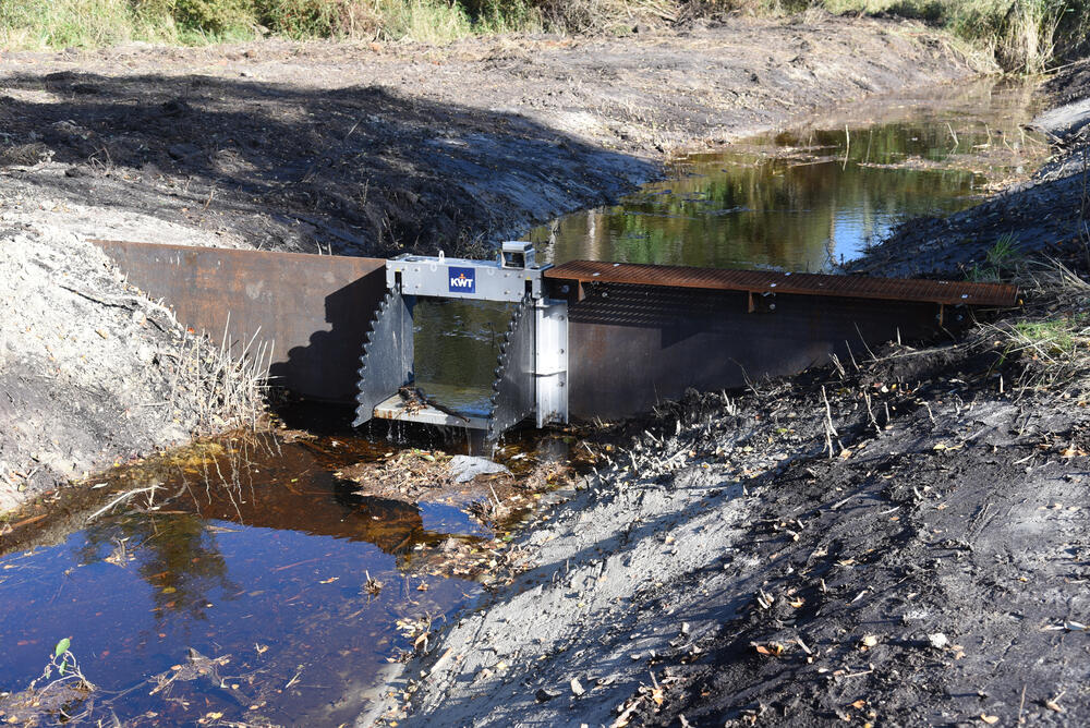 Maßnahmenumsetzung im DBU Naturerbe Gelbensander Forst © Axel Precker 