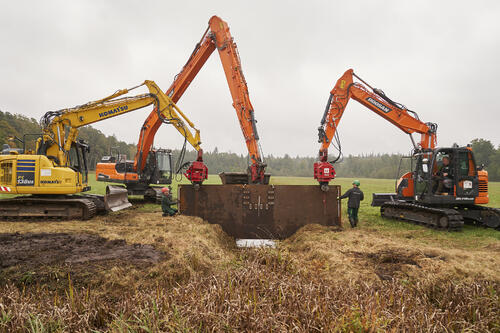 Sehen Sie selbst... © Claudia Höhne