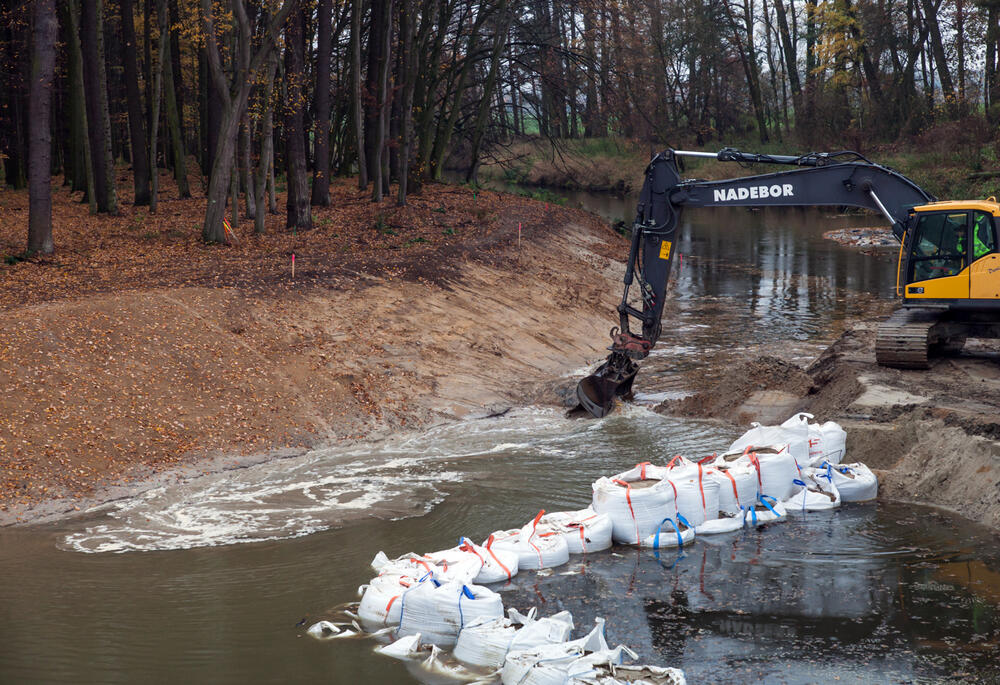 Redynamisierung Spree Daubaner Wald © Ralf M. Schreyer/SBS