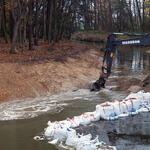 Redynamisierung Spree Daubaner Wald © Ralf M. Schreyer/SBS
