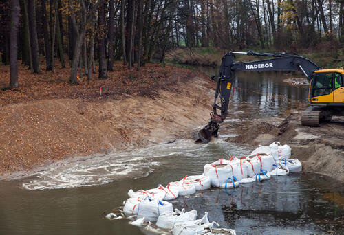 Redynamisierung Spree Daubaner Wald © Ralf M. Schreyer/SBS