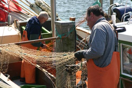 Fischer &copy; Paulus, Hans-Gerd/piclease