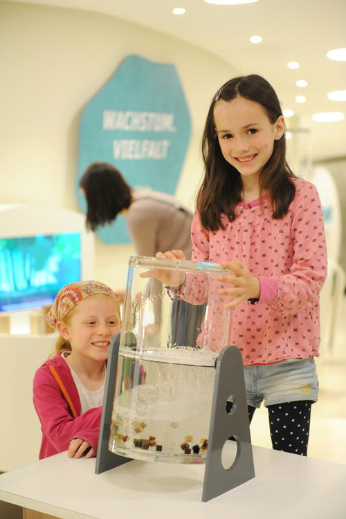 Botanika Holz-Wasser-Experiment © Deutsche Bundesstiftung Umwelt