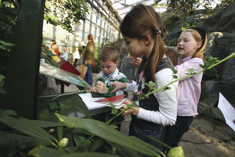 botanika - Gewächshaus © Deutsche Bundesstiftung Umwelt