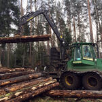 Borkenkäfer DBU-Naturerbefläche Himmelsgrund Harvester Waldarbeit © Bundesforstbetrieb Thüringen-Erzgebirge/Messner