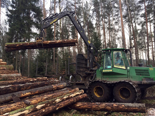 Borkenkäfer DBU-Naturerbefläche Himmelsgrund Harvester Waldarbeit © Bundesforstbetrieb Thüringen-Erzgebirge/Messner
