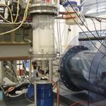 Biotechnologische Produktion von Perillasäure 