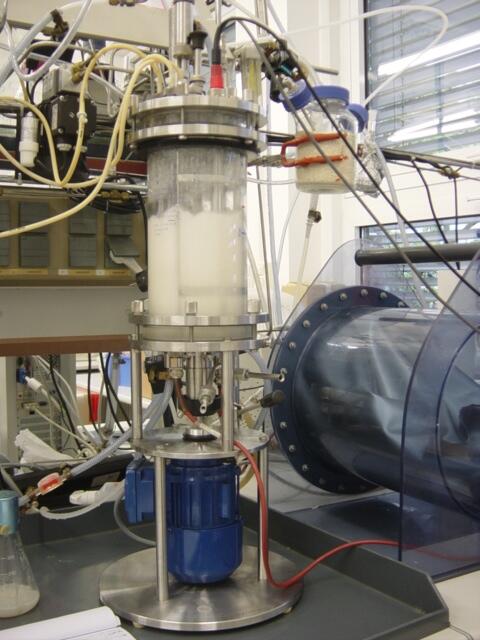 Biotechnological production of perillic acid 