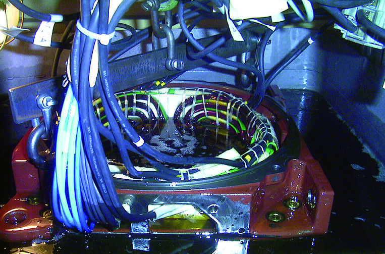 Electric Motors Ecologically Impregnated 