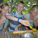 Sehen Sie selbst... &copy; Dr. Gisbert Döpke