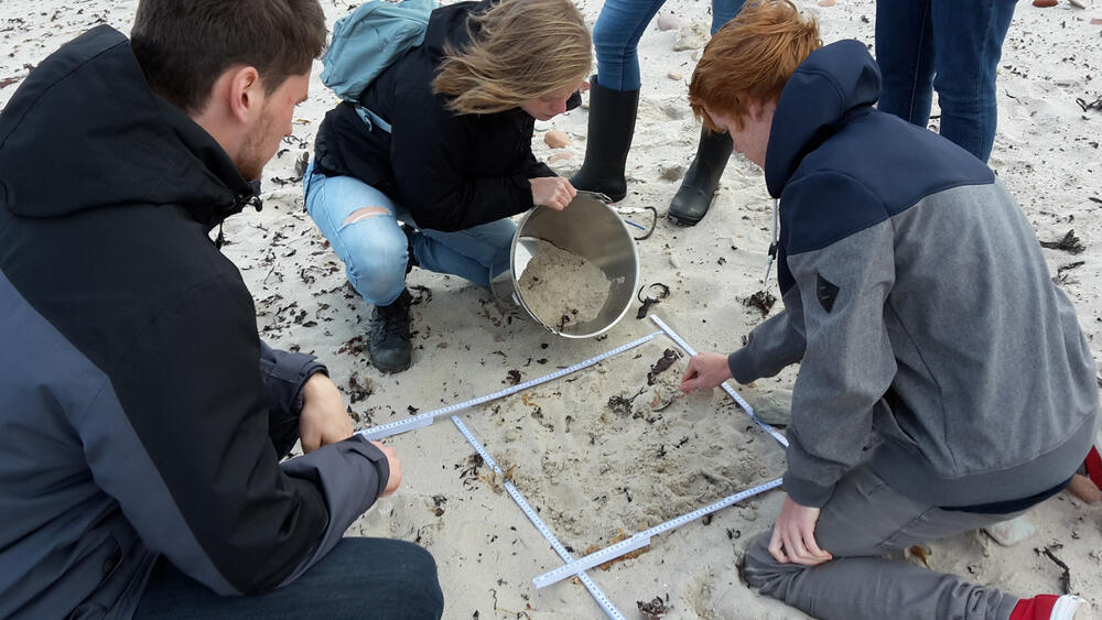 OPENSEA - Schülerlabor Helgoland © Hannah Buntenkötter