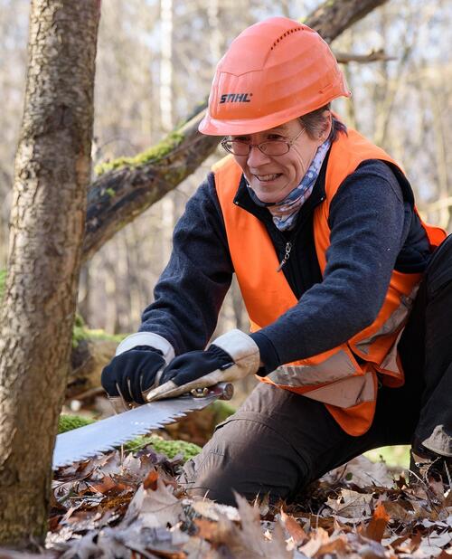 Bergwaldprojekt Hainberg © Matthäus Holleschovsky/ Bergwaldprojekt e.V.