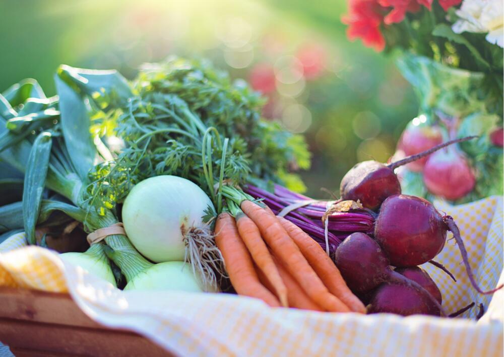 Die DUH informiert über ihre Social-Media-Kanäle, Webseiten und Newsletter zum Thema Lebensmittelverschwendung, so dass Verbraucherinnen und Verbraucher sensibilisiert werden.  © Canva