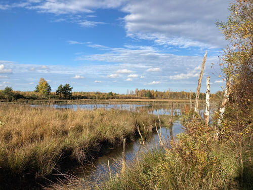 DBU Naturerbe, Daubaner Wald © Dr. André Kopka, DBU Naturerbe GmbH