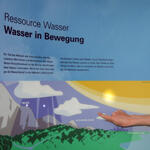 WasserWissen: Wasserkreislauf 