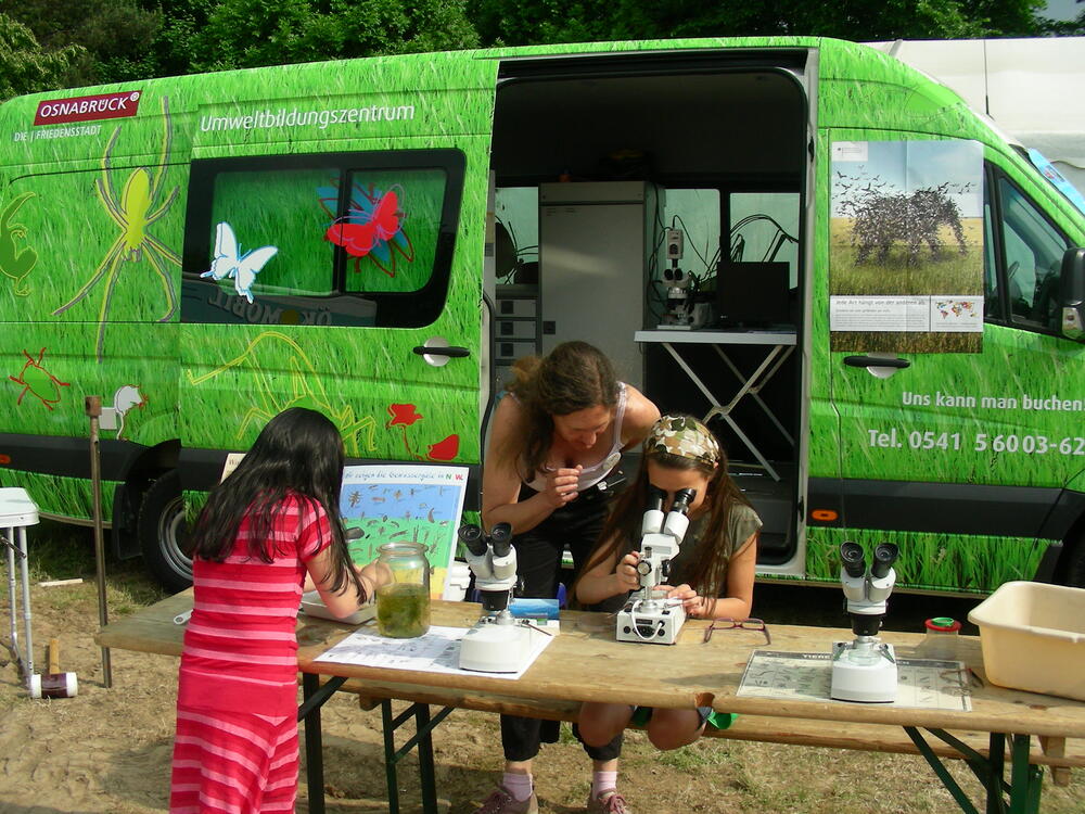 Grashüpfer &copy; Museum am Schölerberg