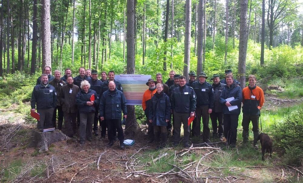 Workshop im Pöllwitzer Wald © DBU Naturerbe GmbH
