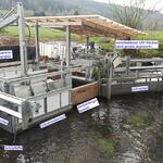 Versuchsfangkammer im Mühlgraben der Schmaleicher Mühle in Rauschenberg/Wohra © Ing.-Büro Hermann Henkel
