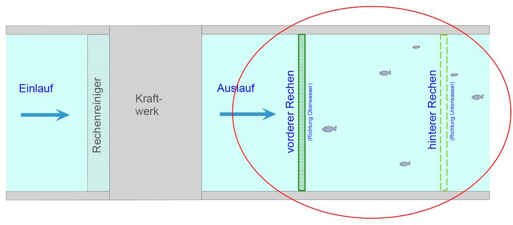 Prinzipskizze der Fangkammer hinter einem Wasserkraftwerk. Die Fische wandern entgegen der Hauptströmung in Richtung Wasserkraftwerksauslauf und werden von feinen Rechen, welche die gesamte Breite des fließenden Gewässers abdecken können, zunächst ge © Ing.-Büro Hermann Henkel