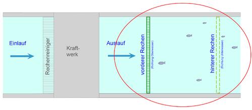 Prinzipskizze der Fangkammer hinter einem Wasserkraftwerk. Die Fische wandern entgegen der Hauptströmung in Richtung Wasserkraftwerksauslauf und werden von feinen Rechen, welche die gesamte Breite des fließenden Gewässers abdecken können, zunächst ge © Ing.-Büro Hermann Henkel