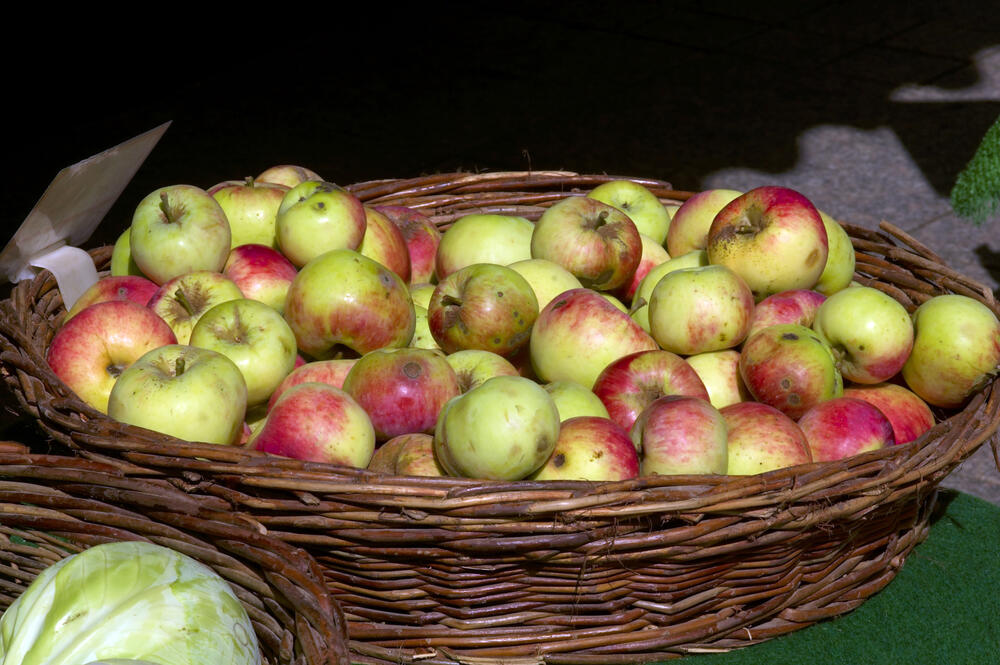 Apfelkorb &copy; Michler, Hanns-Frieder/piclease 
