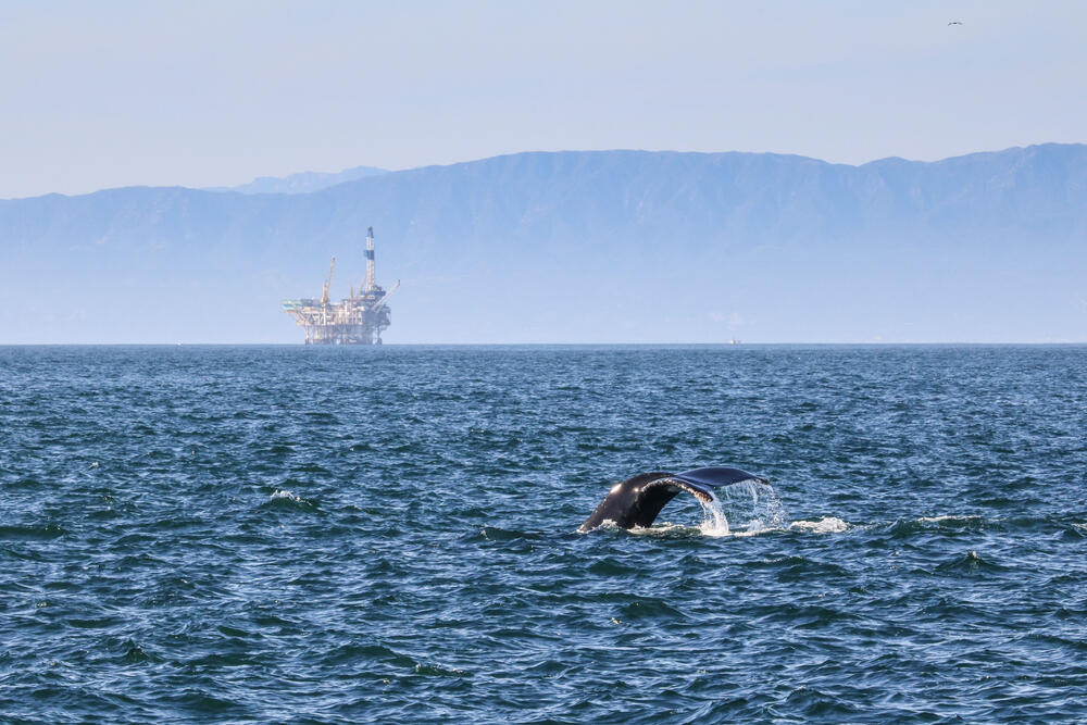 Sehen Sie selbst... © Bram - stock.adobe.com