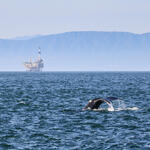 Sehen Sie selbst... © Bram - stock.adobe.com