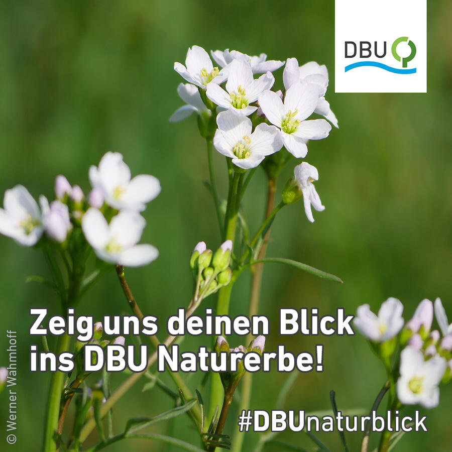 #DBUnaturblick