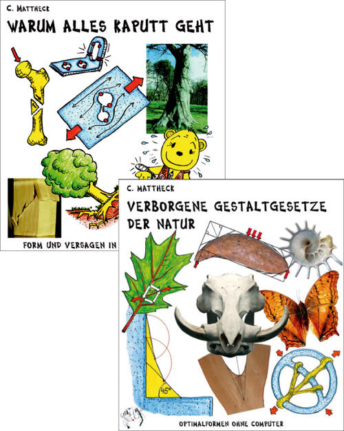 Wissenschaft für jedermann 