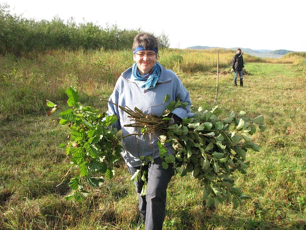 BWP Orchideenwiesen © Bergwaldprojekt e.V.