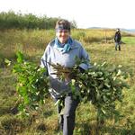 BWP Orchideenwiesen © Bergwaldprojekt e.V.