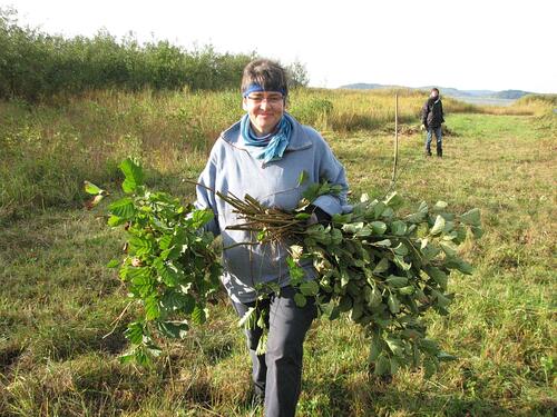 BWP Orchideenwiesen © Bergwaldprojekt e.V.