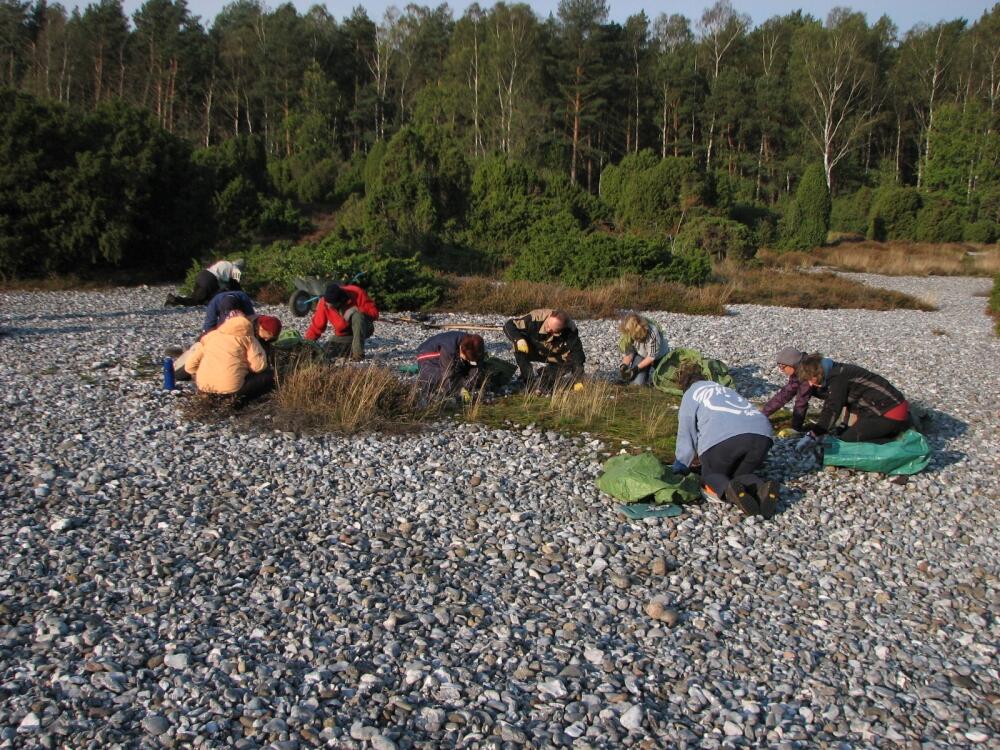 BWP © Bergwaldprojekt e.V.