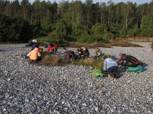 BWP © Bergwaldprojekt e.V.