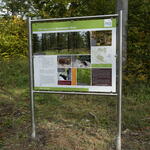 Sehen Sie selbst... © Bundesforstbetrieb Thüringen-Erzgebirge