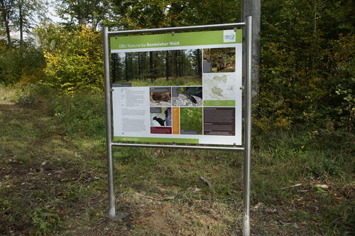 Sehen Sie selbst... © Bundesforstbetrieb Thüringen-Erzgebirge