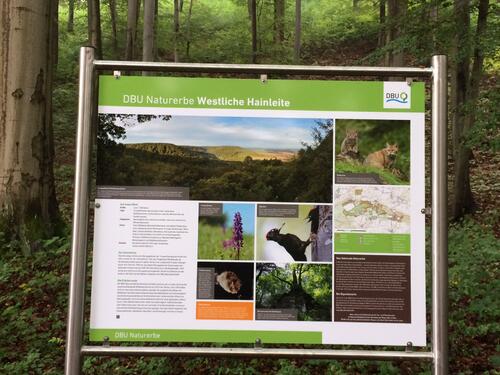 Sehen Sie selbst... © Bundesforstbetrieb Thüringen-Erzgebirge