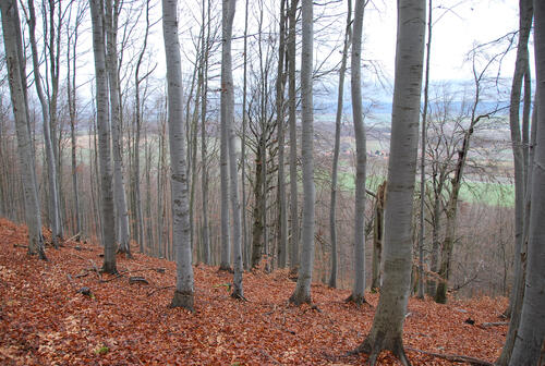 Sehen Sie selbst... © DBU Naturerbe GmbH/Fuellhaas