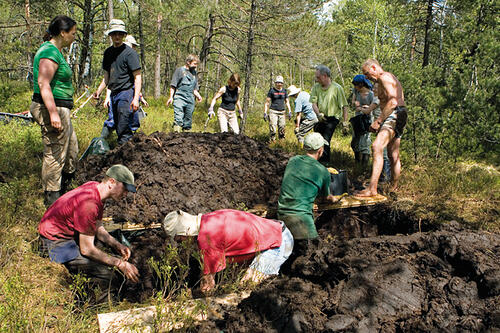 Teamwork im Moor 