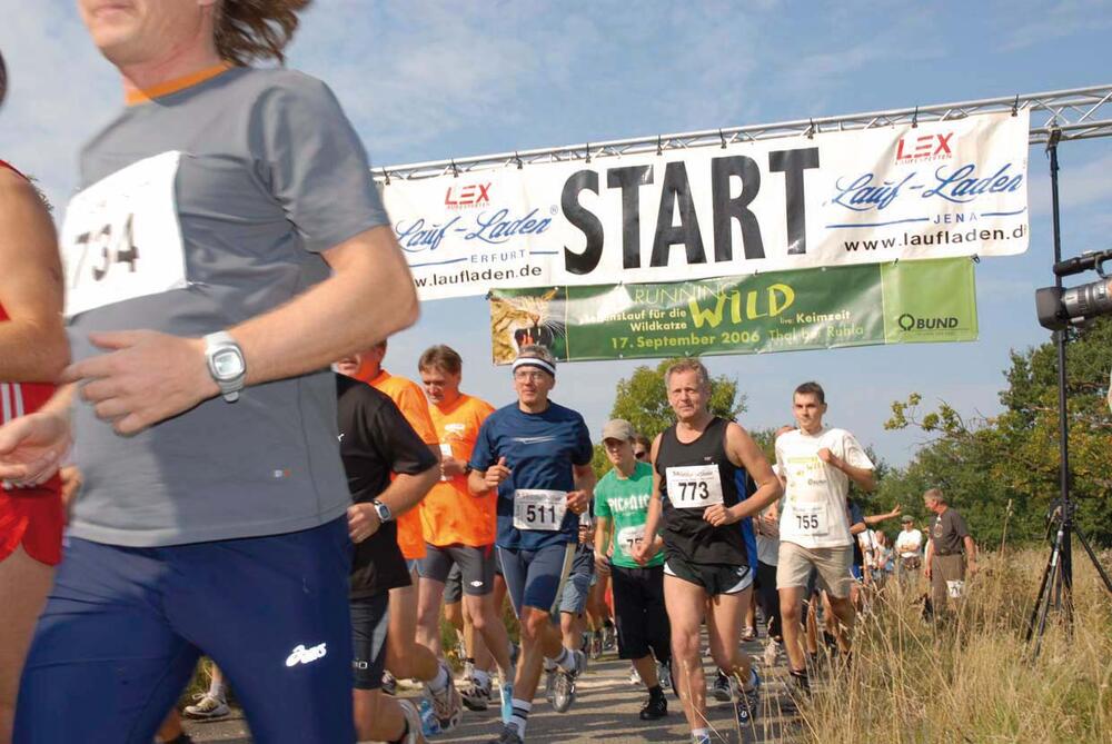 »Wildkatzenlauf«. 