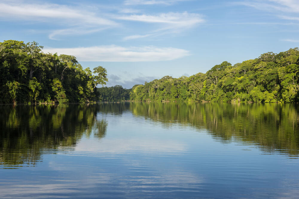 Artenverlust, Wildnisgebiete, Artenvielfalt, COP15 © Daniel Rosengren_FZS