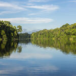 Artenverlust, Wildnisgebiete, Artenvielfalt, COP15 © Daniel Rosengren_FZS