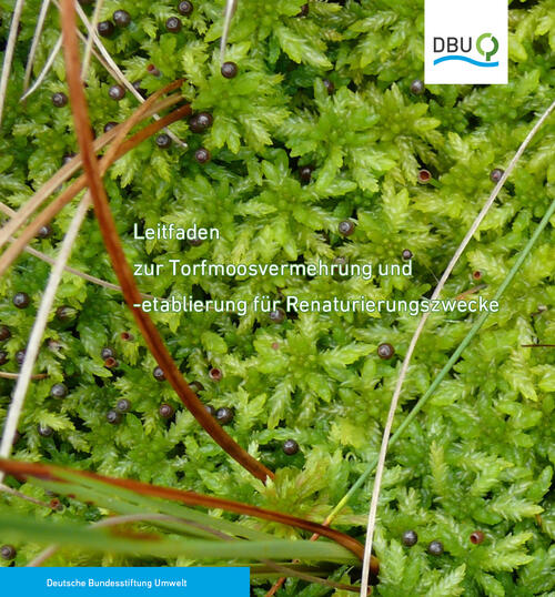 Das Cover der Publikation. Der kostenlosen Leitfaden zur Vermehrung von Bulttorfmoosen ist jetzt erschienen.  © Deutsche Bundesstiftung Umwelt