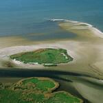 Peenemünder Haken © Nobert Rosing