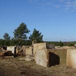 Rückbau Kaarzer Holz © Bundesforst/ Verena Bastian