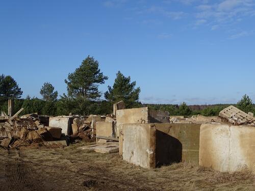 Rückbau Kaarzer Holz © Bundesforst/ Verena Bastian