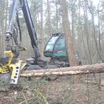 Harvester auf DBU-Naturerbefläche Cuxhavener Küstenheiden © Bundesforst/ Henning Wehebrink