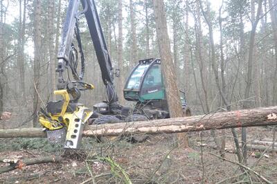 Harvester auf DBU-Naturerbefläche Cuxhavener Küstenheiden